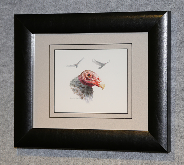 Turkey Vulture - Framed Acrylic Original - 12.5" x 10.5"